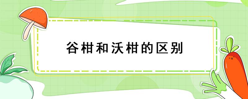 谷柑和沃柑的区别 沃柑和谷柑有什么区别