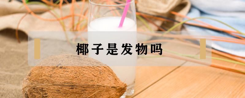 椰子是发物吗 椰子是发物吗?