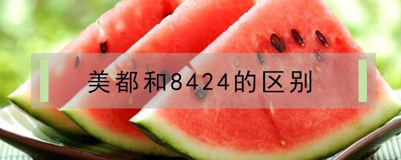 美都和8424的区别（美都与8424怎么区分）