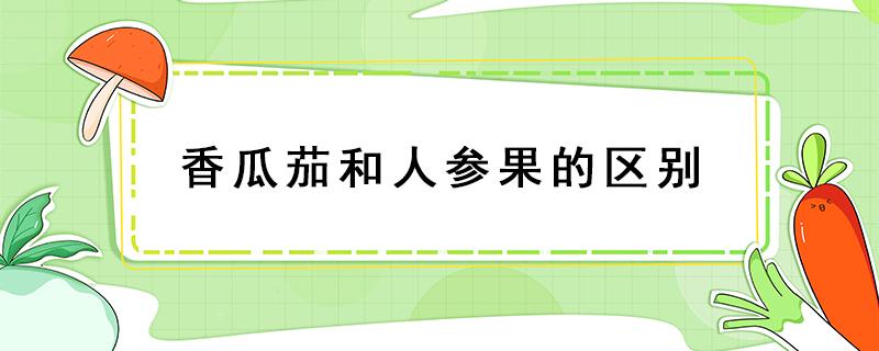 香瓜茄和人参果的区别（人参果是香瓜茄吗）