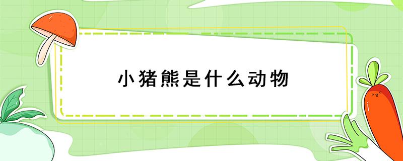 小猪熊是什么动物 小猪熊是什么动物,大寒吃什么食物好,大寒吃什么食物好