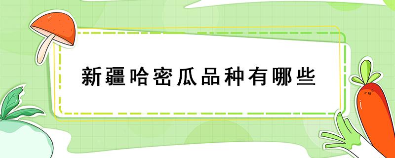 新疆哈密瓜品种有哪些（新疆最好吃的哈密瓜是什么品种）