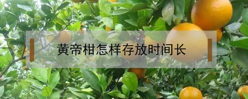 黄帝柑怎样存放时间长 黄帝柑能储存吗