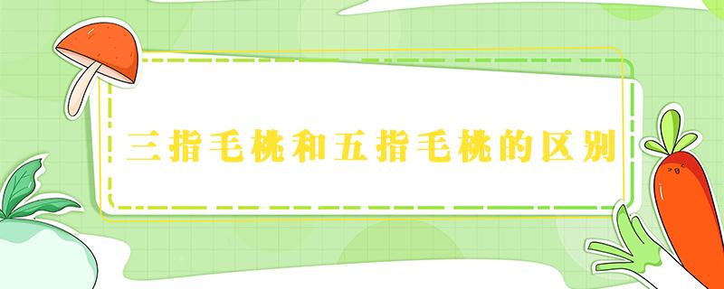 三指毛桃和五指毛桃的区别 三指毛桃和五指毛桃的区别在哪里