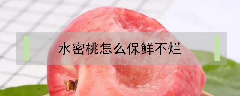 水密桃怎么保鲜不烂（水蜜桃怎么放不容易坏）