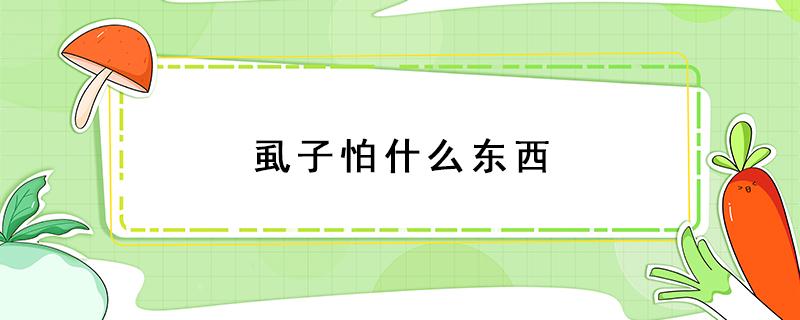 虱子怕什么东西 虱子怕什么东西或者味道