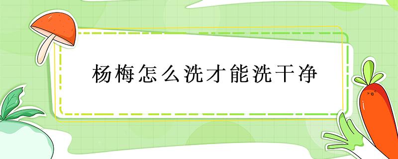 杨梅怎么洗才能洗干净 杨梅怎么洗才能洗得干净