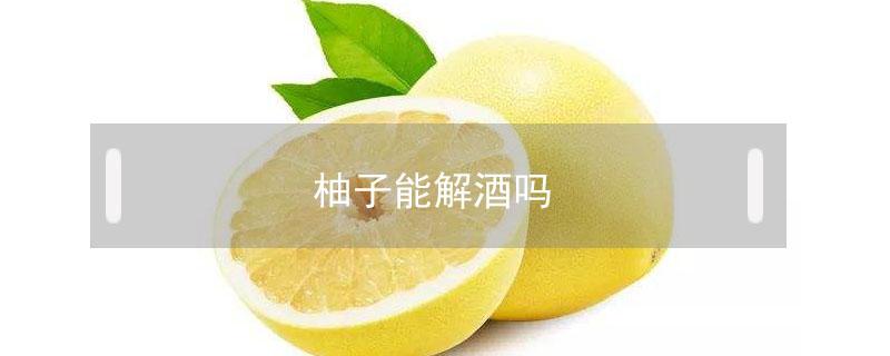 柚子能解酒吗 柚子能解酒不