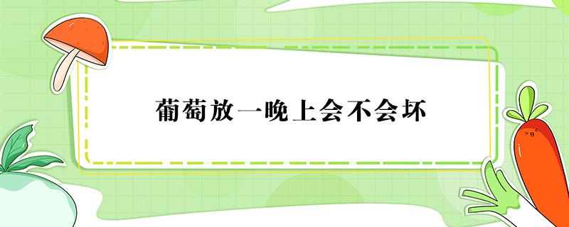 葡萄放一晚上会不会坏 葡萄放一晚上会坏吗