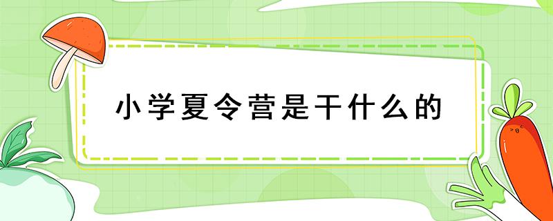 小学夏令营是干什么的（小学夏令营都干些什么）