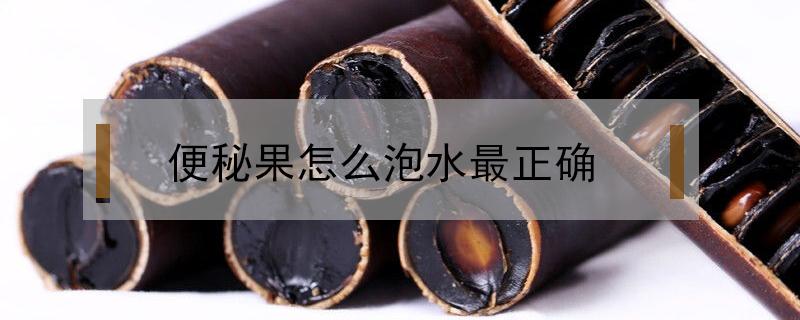 便秘果泡水喝要剥皮吗