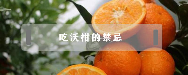 吃沃柑的禁忌（沃柑食用禁忌）