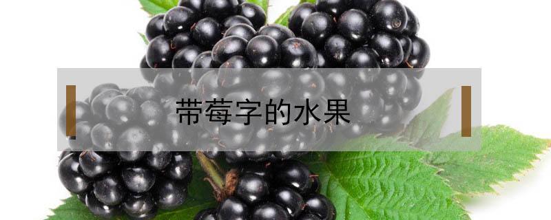 带莓字的水果（带莓字的水果套路）