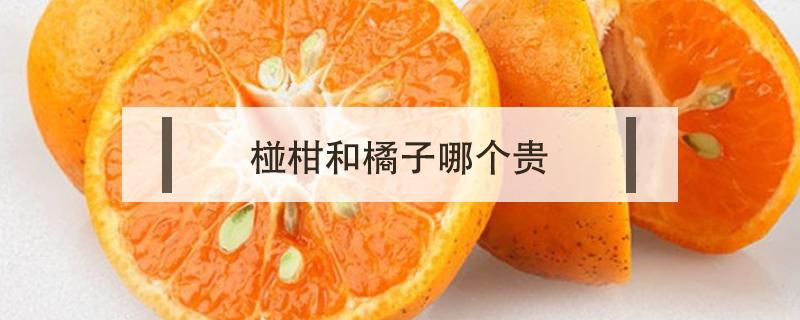椪柑和橘子哪个贵 柑为什么比橘子贵