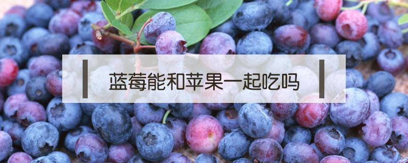 蓝莓能和苹果一起吃吗（蓝莓能和苹果一起吃吗?）