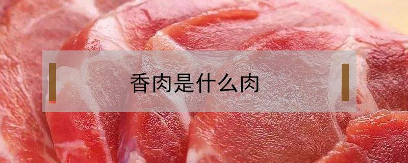 香肉是什么肉 孜然香肉是什么肉