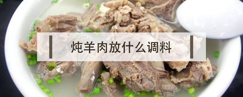 炖羊肉放什么调料 炖羊肉放什么调料最佳