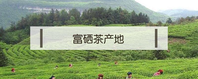 富硒茶产地 富硒茶产地在哪里