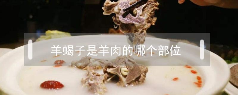 羊蝎子是羊肉的哪个部位（羊蝎子是什么部位的肉）