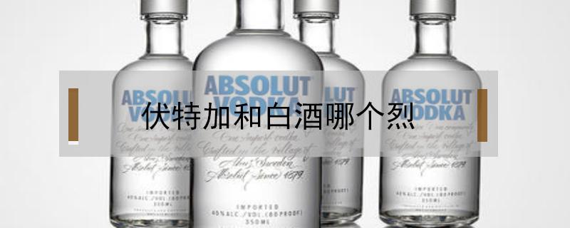 伏特加和白酒哪个烈 伏特加和白酒哪个烈威士忌