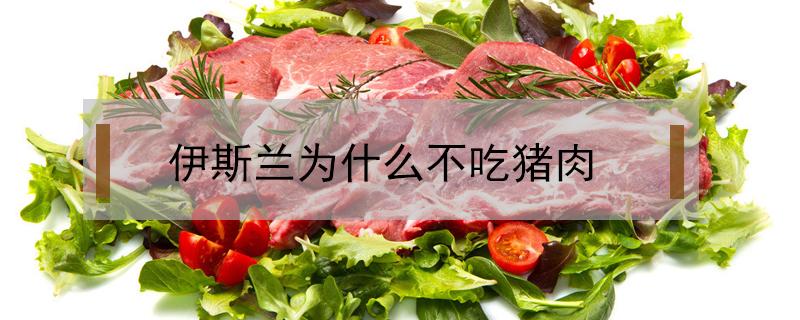 伊斯兰为什么不吃猪肉（伊斯兰教为什么不吃猪肉）