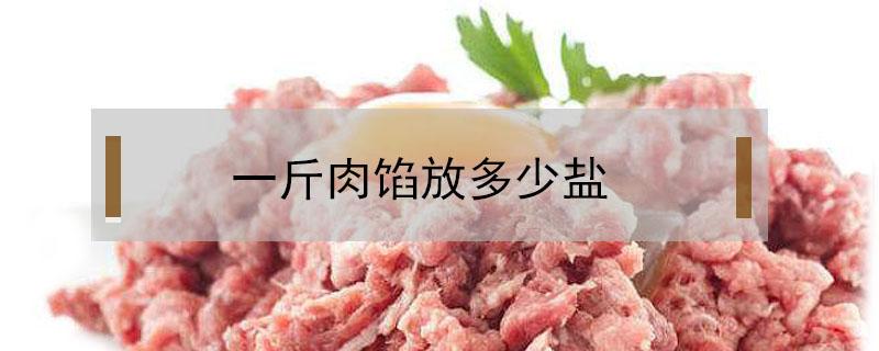 一斤肉馅放多少盐（包饺子一斤肉馅放多少盐）