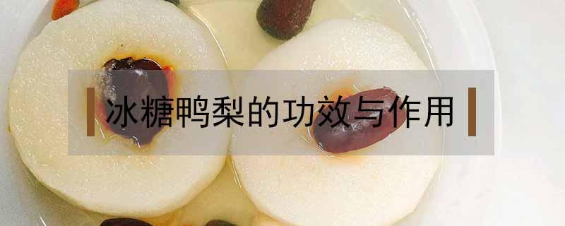 冰糖鸭梨的功效与作用 冰糖梨功效与作用及食用方法