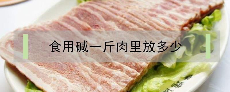 食用碱一斤肉里放多少 一斤猪肉放多少食用碱为好