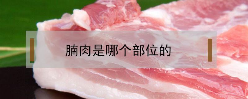 腩肉是哪个部位的（腩肉是哪个部位的好吃）