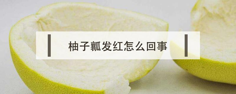 柚子瓤发红怎么回事（柚子表皮发红）