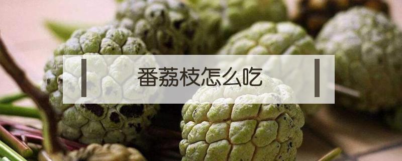 番荔枝怎么吃（番荔枝怎么吃法视频）