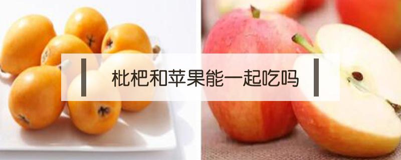 枇杷和苹果能一起吃吗（苹果和枇杷能一起吃吗?）