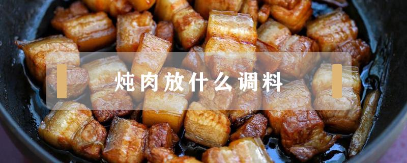 炖肉放什么调料（给八个月宝宝炖肉放什么调料）