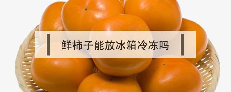 鲜柿子能放冰箱冷冻吗 新鲜的柿子可以放冰箱冷冻吗