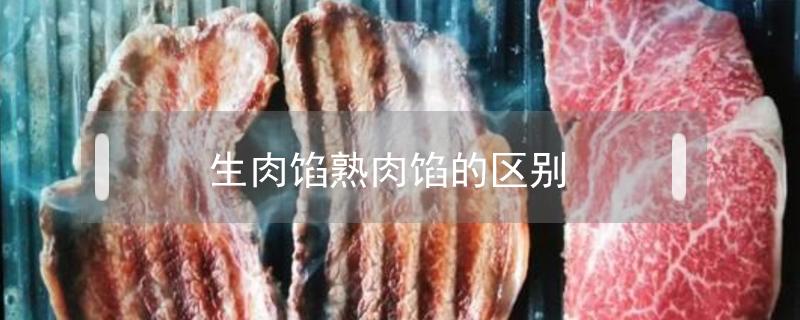 生肉馅熟肉馅的区别（生肉馅熟肉馅的区别包子）