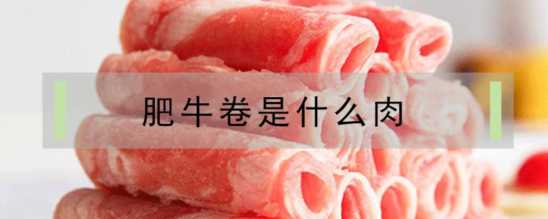 肥牛卷是什么肉（便宜的肥牛卷是什么肉）