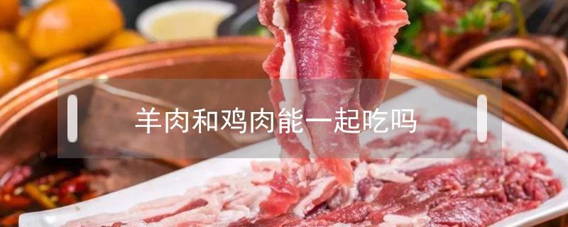 羊肉和鸡肉能一起吃吗