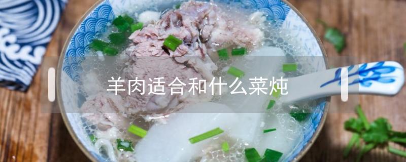 羊肉适合和什么菜炖 羊肉与什么菜炖最好