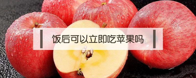 饭后可以立即吃苹果吗 苹果可以吃完饭马上吃吗