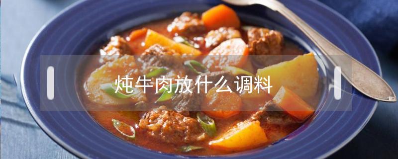 炖牛肉放什么调料（炖牛肉放什么调料比较容易烂）