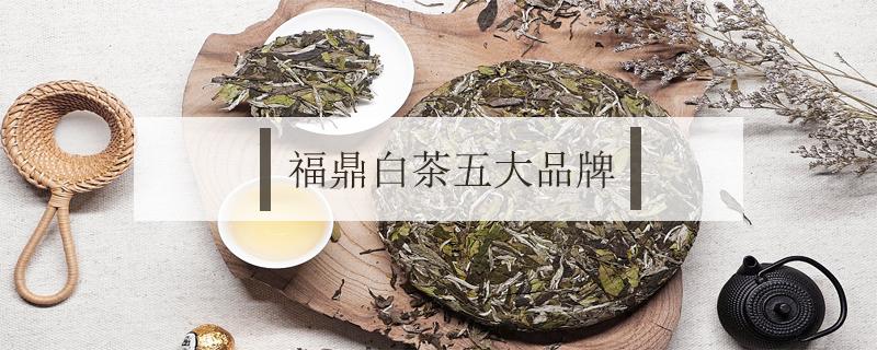 福鼎白茶五大品牌 福鼎白茶十大品牌