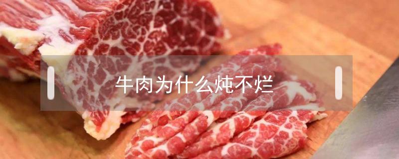 牛肉为什么炖不烂（牛肉为什么炖不烂硬的）