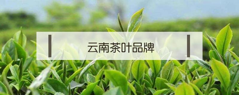 云南茶叶品牌 云南茶叶品牌哪个好