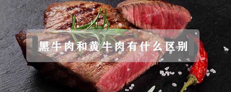 黑牛肉和黄牛肉有什么区别 黄牛和黑牛肉的区别