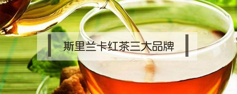 斯里兰卡红茶三大品牌（斯里兰卡红茶品牌大全）