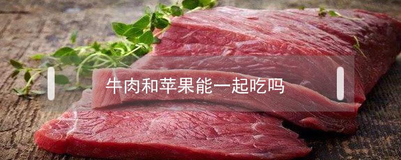 牛肉和苹果能一起吃吗（牛肉可以和苹果一起吃吗）