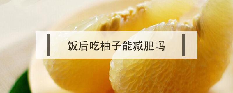 饭后吃柚子能减肥吗（饭后吃柚子可以减肥吗）