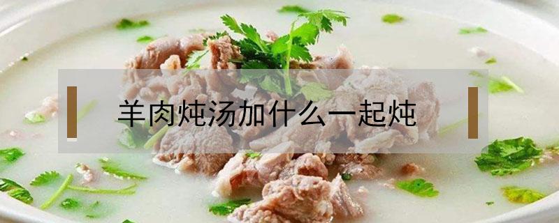 羊肉炖汤加什么一起炖 炖羊肉放什么一起炖