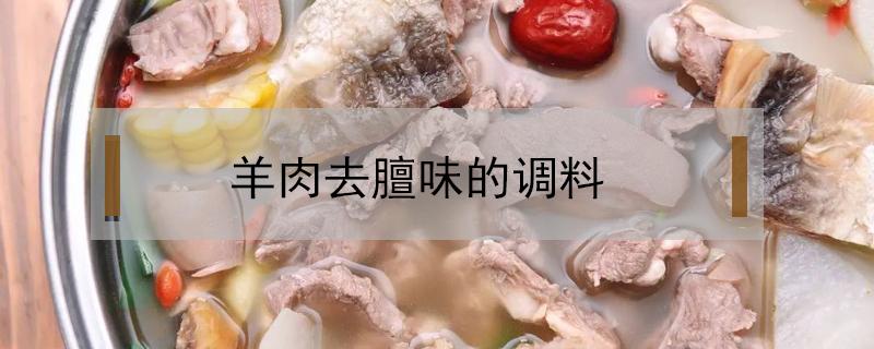 羊肉去膻味的调料(羊肉去膻用什么调料)