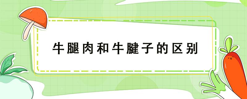 牛腿肉和牛腱子的区别 牛腱子和牛腿肉一样吗?